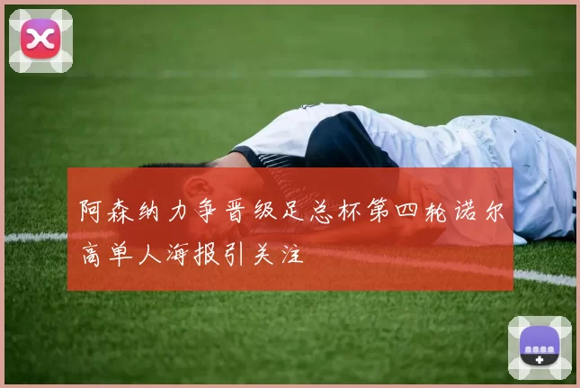 阿森纳力争晋级足总杯第四轮诺尔高单人海报引关注