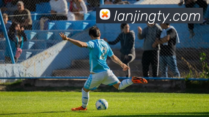 蓝鲸体育服务体系